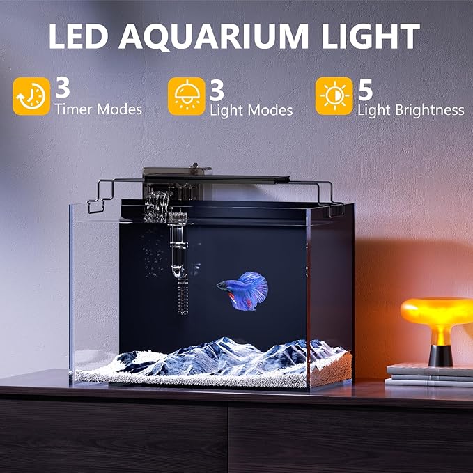 5 Gallon Fish Tank Aquarium Kit with HOB Filter, LED Light with Timer, Lid, Siphon Vacuum Cleaner, Self Cleaning Glass Rimless Betta Tank