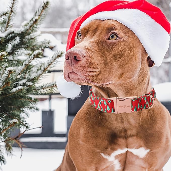 Unique style paws Dog Collar Metal Buckle Puppy Collar for Winter Christmas Tree for Small Medium Large Boys Girls Dogs