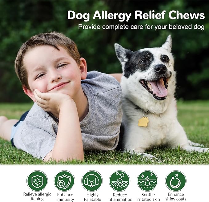 Dog Allergy Chews, Dog Itch Relief Chews for Paw Licking Itchy Skin Seasonal Allergies, Probiotics with Omega-3 Turmeric Astragalus for Large Dogs Coat Immune Supplement-150ct