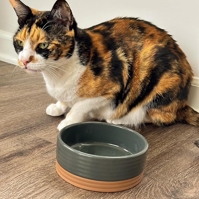 Mora Ceramic Pet Bowl Size Small - Food/Water Dish for Puppy Dogs, Cats, Guinea Pig, Rabbit, Hamster, Snake, ect. 11oz or 2 Cups - Basic Bowls for Your Dog or Cat, Mix and Match for a Set - Charcoal