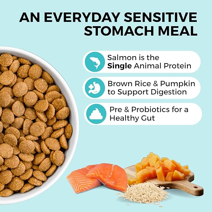 KOHA Limited Ingredient Bland Diet Dry Food for Dogs - Salmon & Brown Rice Recipe, Sensitive Stomach Dog Food with Pre & Probiotics - Pumpkin for Digestive Support, 3.5 lbs