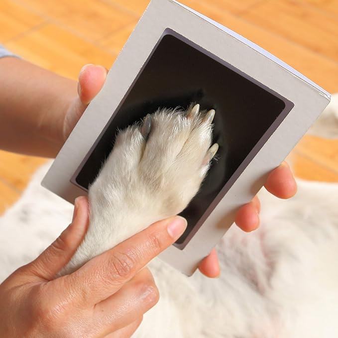 Green Pollywog Paw Print & Nose Print Kit with No-Mess Ink Pad | White | Pet Memorial Picture Display | Dog & Cat Keepsake Gift