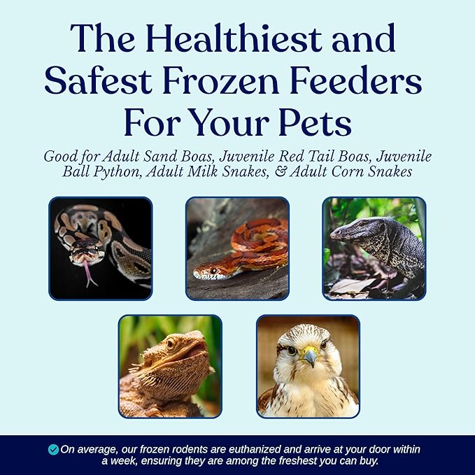 MiceDirect EST. 2003 100 Frozen Mice Small Adult Feeders Snake Food for Juvenile Red Tail Boas Ball Pythons Adult Sand Boas Milks Corn (2.5-3 in) (1900 Grams Min)
