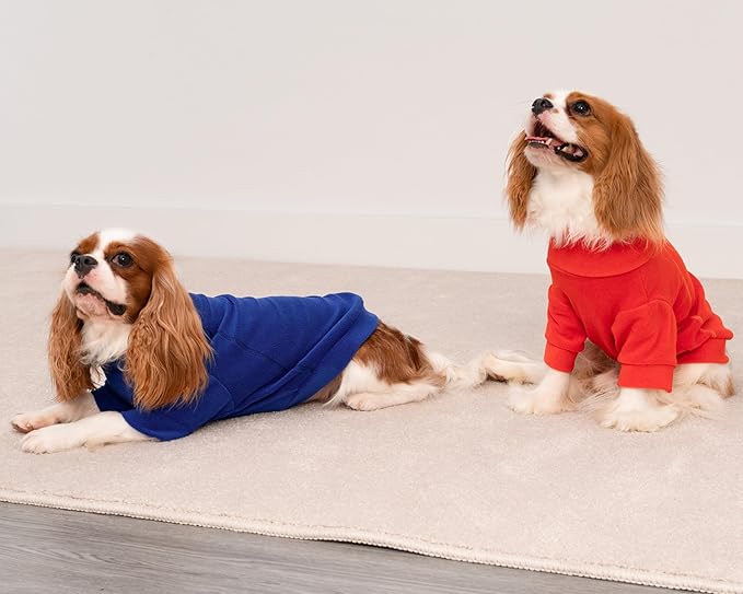 Fitwarm 3 Pack Classic Fleece Dog Sweater, Winter Clothes for Small Dogs Boy Girl, Turtleneck Dog Sweatshirt, Pet Apparel, Orange Red, Royal Blue, Neon Yellow, XXL