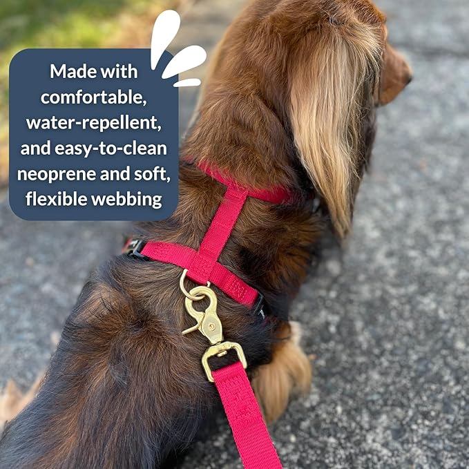 DJANGO Adventure Dog Harness - Stylish and Durable Small Dog Harness for Outdoor Adventures and Everyday Wear - Red Neoprene Adjustable Harness for Dogs with Reflective Piping, Solid Brass D-Ring