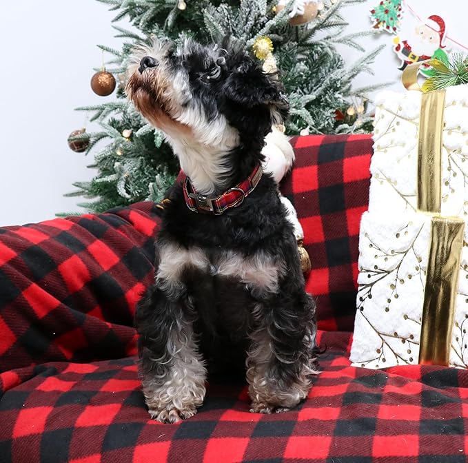Unique style paws Dog Collar Metal Buckle Puppy Collar for Winter Christmas Red Plaid for Small Medium Large Boys Girls Dogs