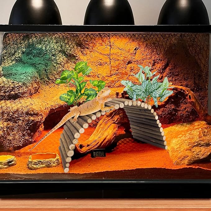 BNOSDM Large Reptile Hide Tortoise Hideout Bearded Dragon Wooden Bridge Snake Climbing Tunnel Habitat Decor for Lizards Spiders Gecko Ball Python (19.7x9 in)