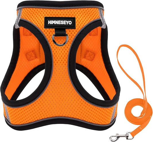 Dog Harness and Leash Set, Dog Harness for Dogs No Pull, No-Chock Step-in Reflective Breathable Lightweight Easy Walk Vest Harnesses with Safety Buckle for Small Medium Dogs, Cats (Orange, M)