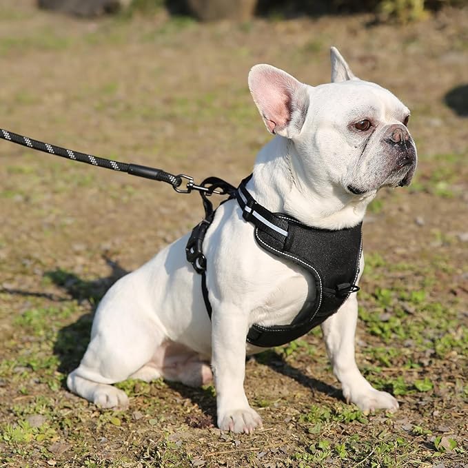 Amazon Basics No-Pull Dog Harness, Adjustable Soft Padded Vest with Reflective Stripes, Large, Black