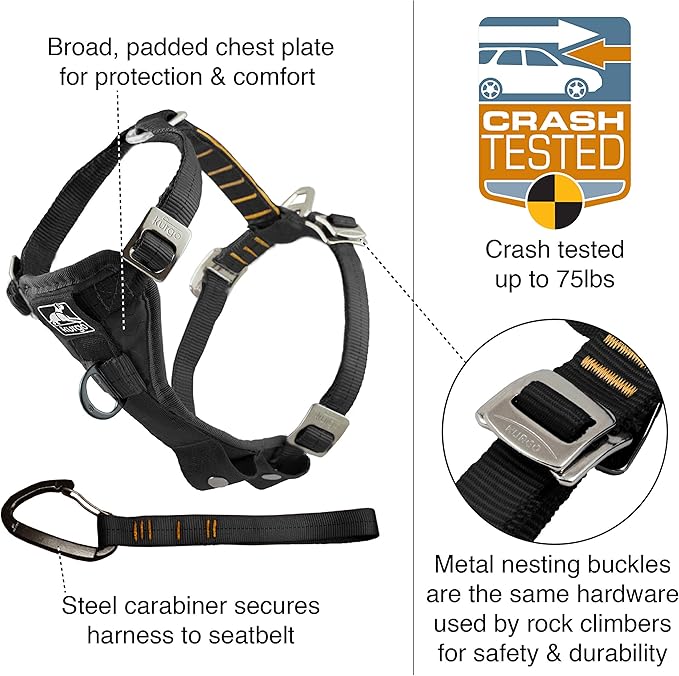 Kurgo Enhanced Strength Tru-Fit Dog Car Harness - Pet Travel Safety Harness - Crash Test Certified Fit - Five Point Adjustment - Secure Buckle - Padded Chest - Charcoal - Small