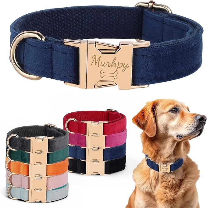 Velvet Harness Set, Gift for Pet Owners, Custom Dog Collar Personalized Name and Phone Number, Custom Collar Leash for Dogs, Engraved Metal Buckle Collar (Small)