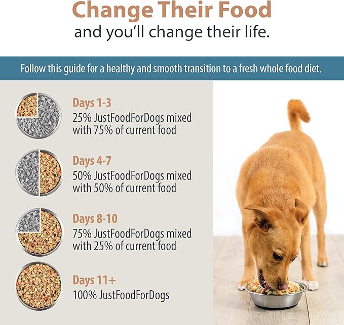 JustFoodForDogs Pantry Fresh Wet Dog Food, Complete Meal or Dog Food Topper, Turkey & Whole Wheat Macaroni Human Grade Dog Food Recipe - 12.5 oz (Pack of 6)