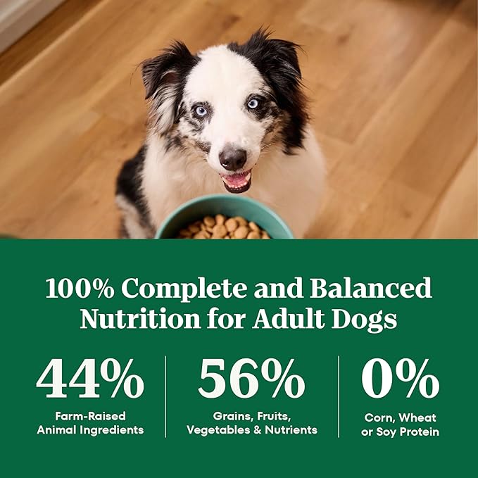 Nutro Natural Choice Adult Dry Dog Food, Chicken & Brown Rice Recipe, 30 lb. Bag