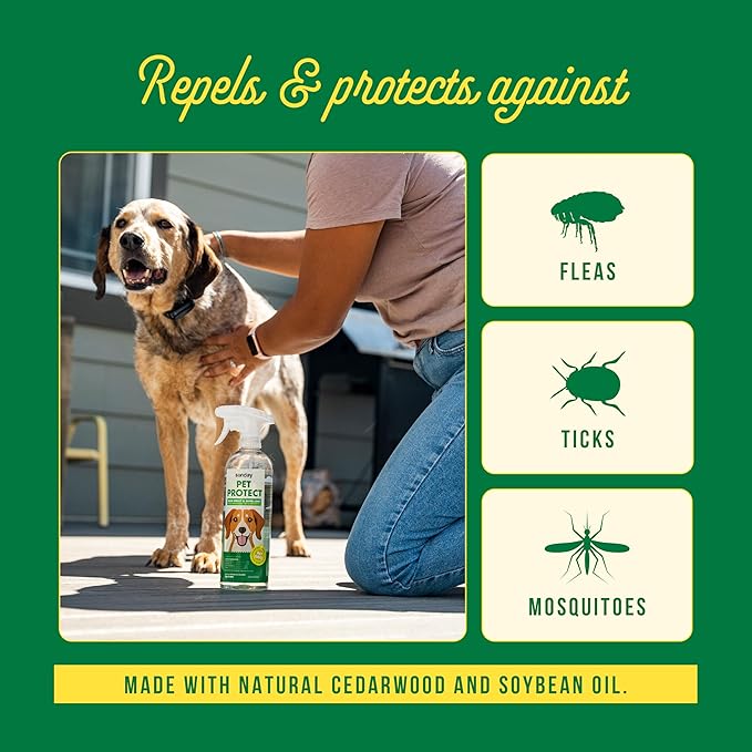 Sunday Pet Protect Flea, Tick, & Mosquito Spray – Natural, Effective Bug Spray for Dogs – Kills, Controls, Prevents Biting Pests with Cedarwood & Soybean Oil – 24 oz
