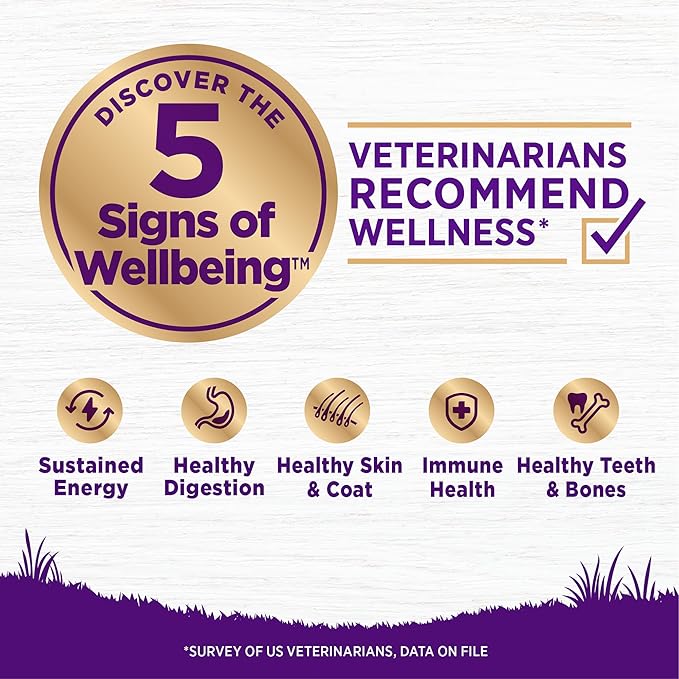 Wellness Complete Health Dry Dog Food, Wholesome Grains, Natural, Lamb & Barley Recipe, (26-Pound Bag)