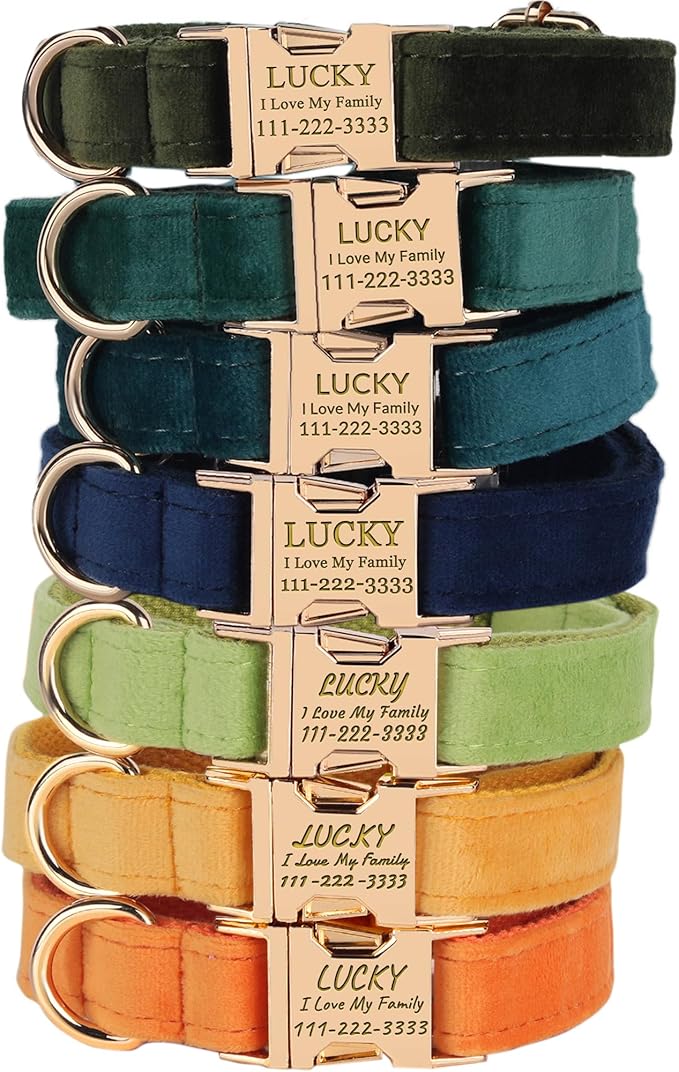 PETDURO Personalized Dog Collars Fancy Velvet with Custom Name Engraved for Large Medium Boy Girl Dog - Multi-Colors - Leash, Bow Tie, Harness and Poop Bag Holder Available - Metal Buckle (XS)