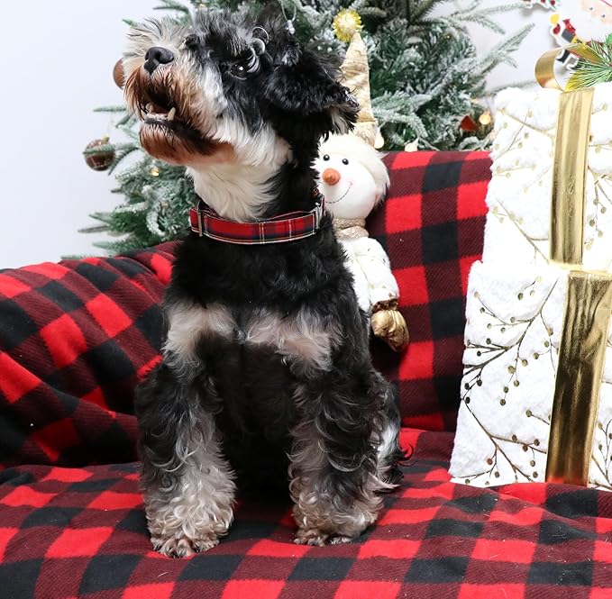Unique style paws Dog Collar Metal Buckle Puppy Collar for Winter Christmas Red Plaid for Small Medium Large Boys Girls Dogs