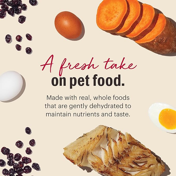 The Honest Kitchen Human Grade Wholemade™ Dehydrated Grain Free Fish Dog Food - Complete & Balanced Meal or Topper - 4 lb Box