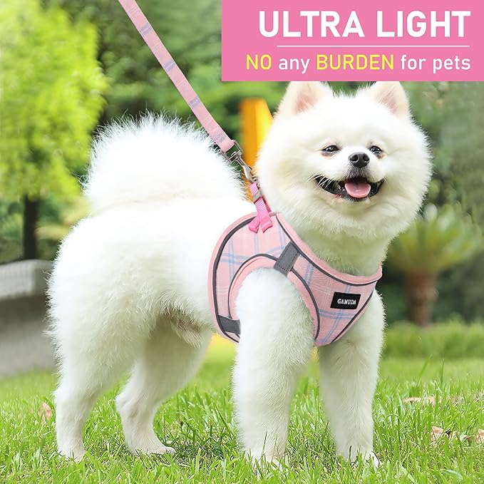 GAMUDA Small Dog Harness Collar and Leash Set, Step in No Chock No Pull Soft Mesh Adjustable Dog Vest Harnesses Plaid Reflective for Dogs Puppy Cats Kitten Rabbit (Pink, L)