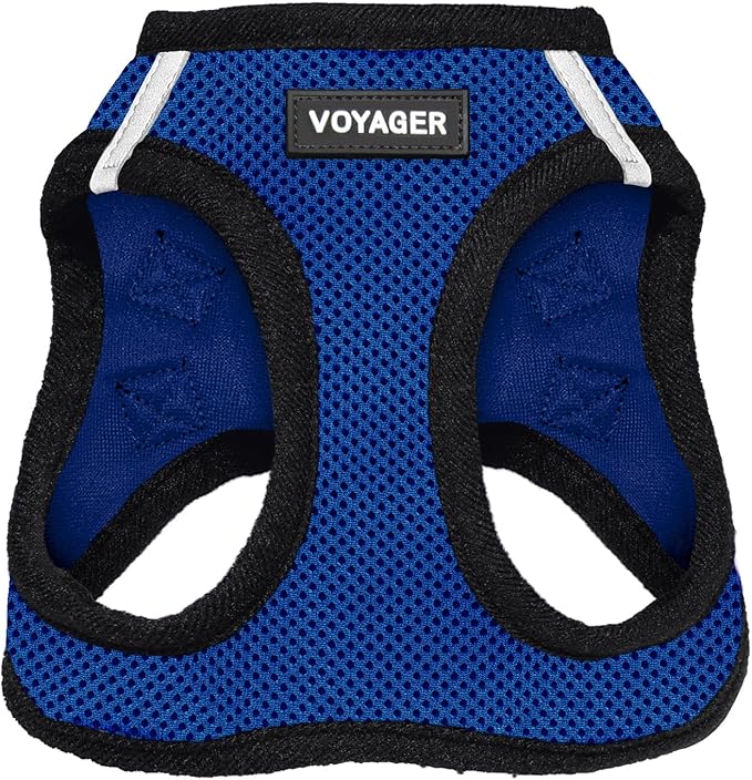 Best Pet Supplies Voyager Step-in Air Harness - All Weather Mesh, Reflective, No Pull Harness for Dogs, Cats - Secure with Hook & Loop Fastener, Buckle, Double D-Rings - Royal Blue/Black Trim, XXXS