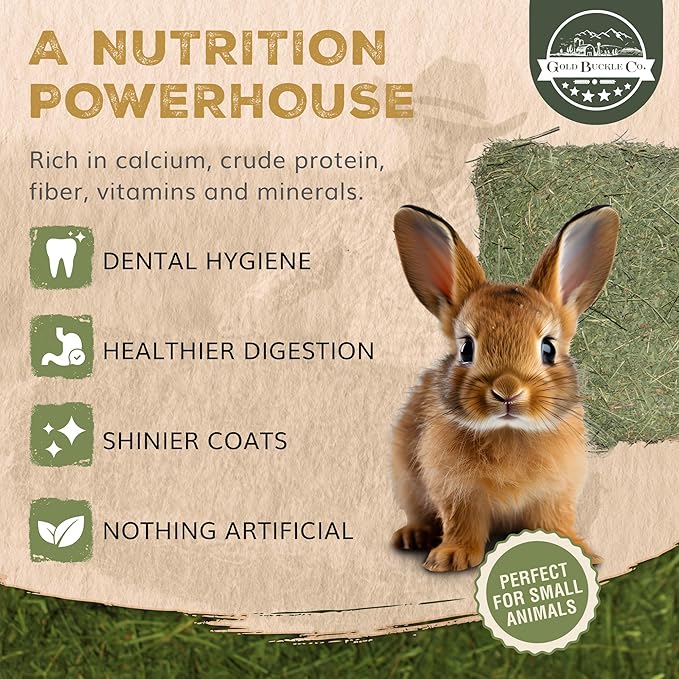 20lb Farm Fresh, USA Grown, Organic Alfalfa Hay for Rabbits, Guinea Pigs, Chinchillas, Goats, Hamsters & Ferrets - Small Animal Food Rich in Protein & Fiber - Just Dried, Hand-Selected