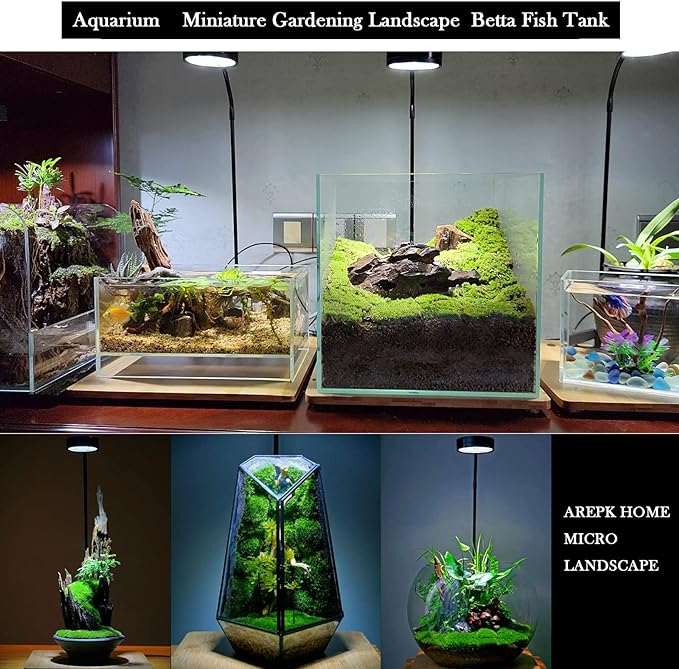 Aquarium Light Full Spectrum LED, for Under 7 Gallon Fish Tank, Light with Timer Auto On/Off, Betta Fish Tank,Indoor Plant Growth, Potted Plants, Succulent, Miniature Gardening Landscape (9)