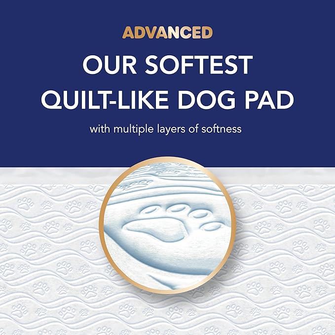Scott Pet Guard Advanced Dog Pads - XL - 30" x 36" - 20 Pack