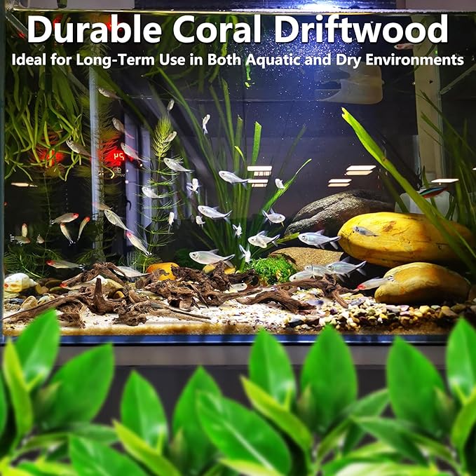 Tfwadmx Natural Small Coral Driftwood for Aquarium Decor 26 Pcs 4-5" Fish Tank Decorations Reptile Decor Assorted Driftwood Branch Reptile Tank Wood Decor