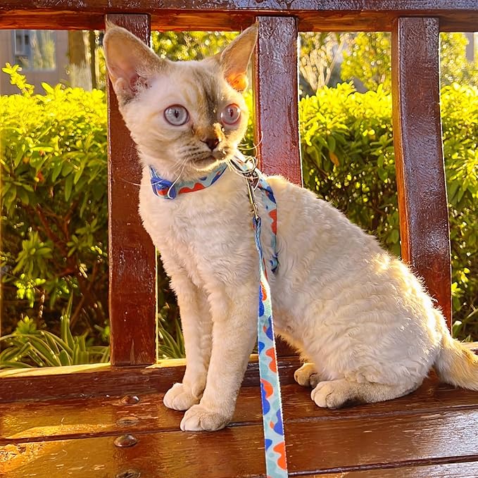 azuza Cat Harness and Leash Set for Safe Walking and Travel, Escape Proof Cat Harness, Lightweight Soft and Comfortable, Adjustable Kitten Harness for Small Medium Large Cats, Blue Camo