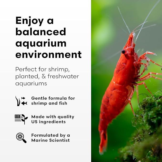 Brightwell Aquatics FlorinBacter7 Freshwater Aquarium Conditioner | Supports Biological Filtration | Removes Ammonia, Nitrite & Nitrate | Improves Water Clarity, 20L