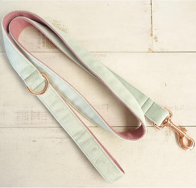 PETDURO Custom Dog Collar Personalized with Name Engraved Quick Release Rose Gold Metal Buckle for Large Medium Small Girl Dogs - Dog Leash and Bow Tie Available - Soft Comfy Velvet (Mint Pink, S)