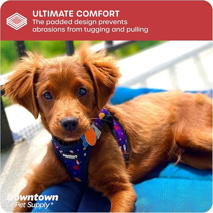 Downtown Pet Supply Step-in Dog Harness – No Pull, Adjustable Padded Mesh with Reflective Trim, Secure Buckle Strap – Comfortable & Breathable Small Dog Harness, X-Large, Space