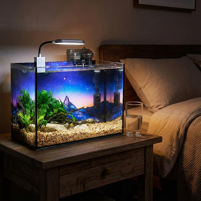 2.5 Gallon Glass Fish Tank with Filter LED Light Complete Betta Fish Tank Starter Kit for Small Aquarium Lovers, Rimless Freshwater Nano Tank with All Essentials Included