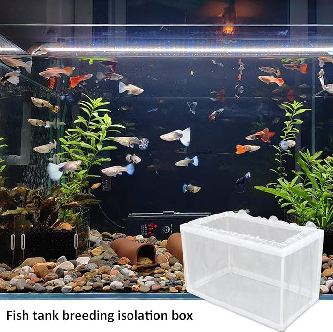 Aquarium Breeding Box - Mesh Box Fish Breeding Tanks, Aquarium Breeder Box, Fish Fry Hatchery, Juvenile Separation Net with Suction Cups, Nursery for Guppy Shrimp