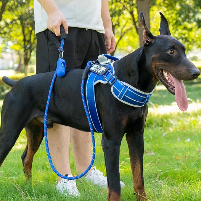 Neck Padded Service Dog Vest Harness and Leash Set, No Pull Adjustable Service Pet Harness with 8 Dog Patches, Reflective in Training Easy Control Pet Vest with 5ft Dog Leash for Medium & Large Dogs