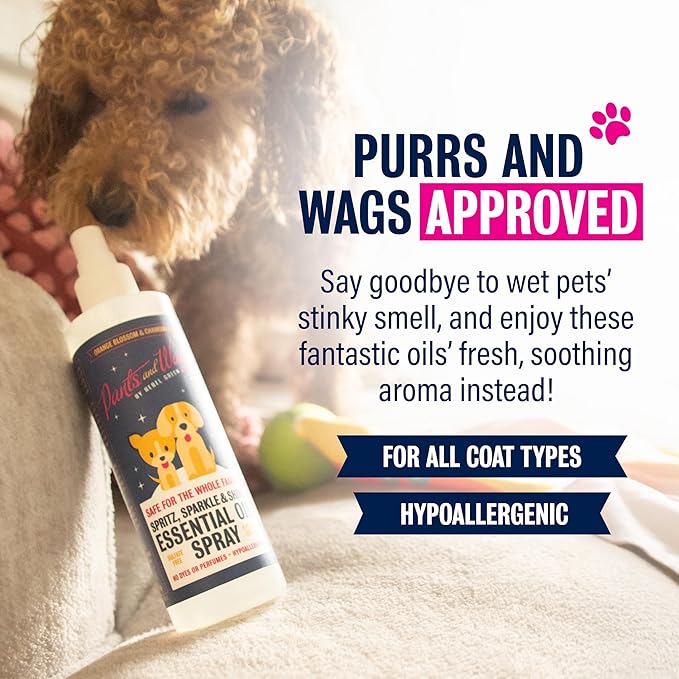 Rebel Green Pants and Wags Spritz, Sparkle & Shine Essential Oil Spray - Orange Blossom & Chamomile - Hypoallergenic - No Dyes or Perfumes - 8 oz - 2 Pack