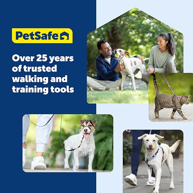 PetSafe 3 in 1 Dog Harness - No Pull Solution for Dogs - Reflective Dog Harness - Front D-Ring Clip Helps Stop Pulling - Comfortable Padded Straps - Top Handle Enhances Control - Plum - Small