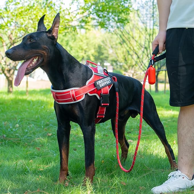 Neck Padded Service Dog Vest Harness and Leash Set, No Pull Adjustable Service Pet Harness with 8 Dog Patches, Reflective in Training Easy Control Pet Vest with 5ft Dog Leash for Medium & Large Dogs