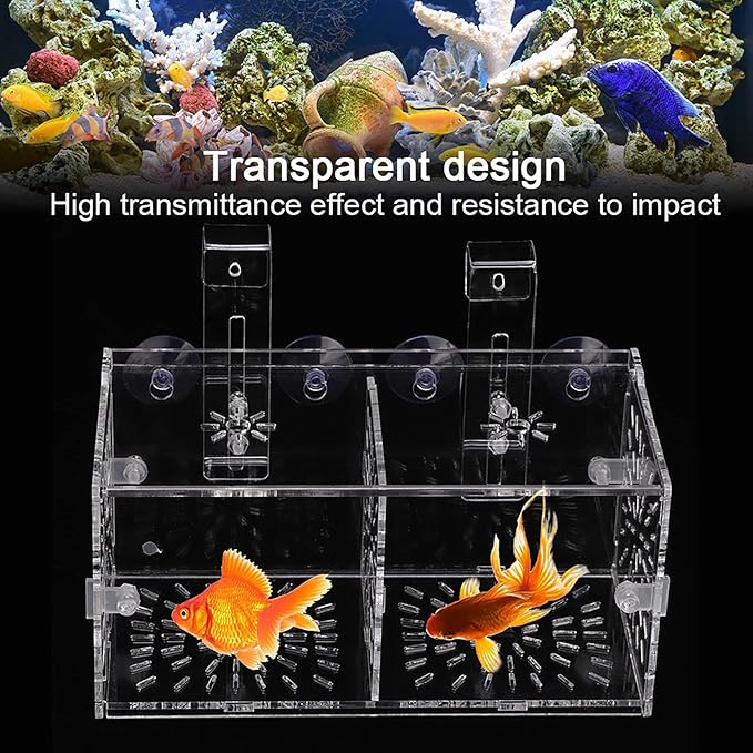 Fish Separation Box, Acrylic Transparent Fish Tank Breeding Isolation Box Aquarium Hatchery Incubator Holder(20CM*10CM*10CM)