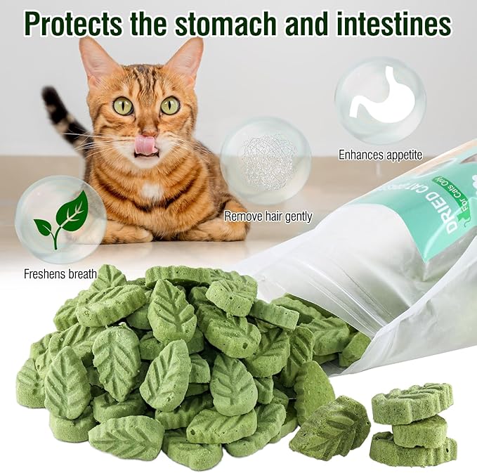 100g/3.52oz Cat Grass Treats, Cat Grass Teething Stick for Hairball Remove and Teeth Cleaning, Edible Cats-Grass Stick Snack
