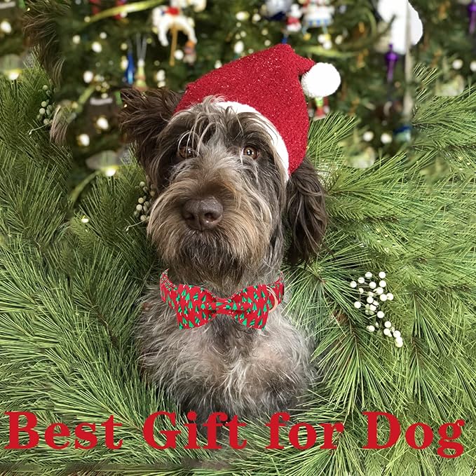Unique style paws Christmas Dog Collar with Bow Best Winter for Small Medium Large Dogs -Christmas Tree-XS