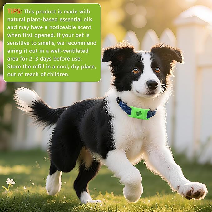 Natural Dog Tag for Flea & Tick Prevention – Waterproof Collar Pendant 2Pack with 4 Extra Refills, Safe for All Breeds, Collar Not Included,Green