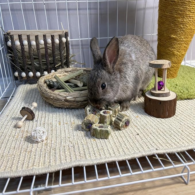 Rabbit Chew Toys Guinea Pig Treats Natural Papaya Wood Chew Sticks for Teeth Bunny Guinea Pig Hamster Chinchilla