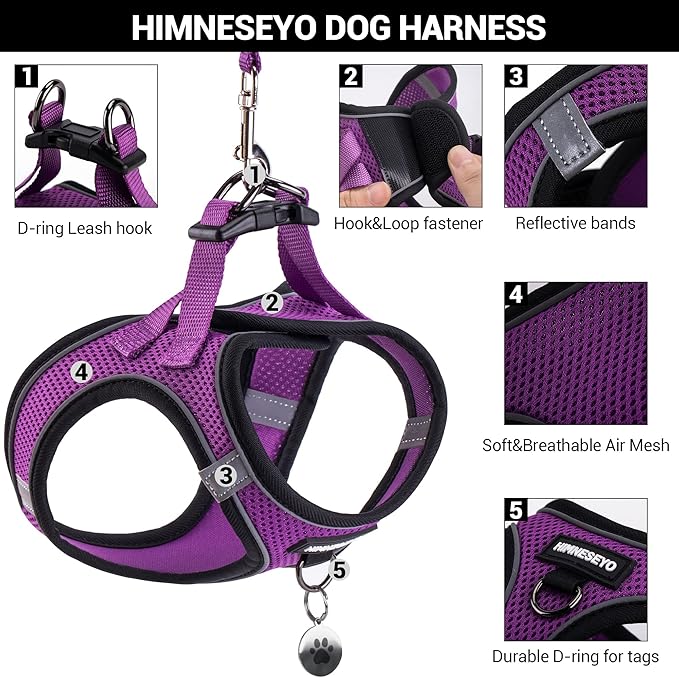 Dog Harness and Leash Set, Dog Harness for Dogs No Pull, No-Chock Step-in Reflective Breathable Lightweight Easy Walk Vest Harnesses with Safety Buckle for Small Dogs, Cats (Purple, S)