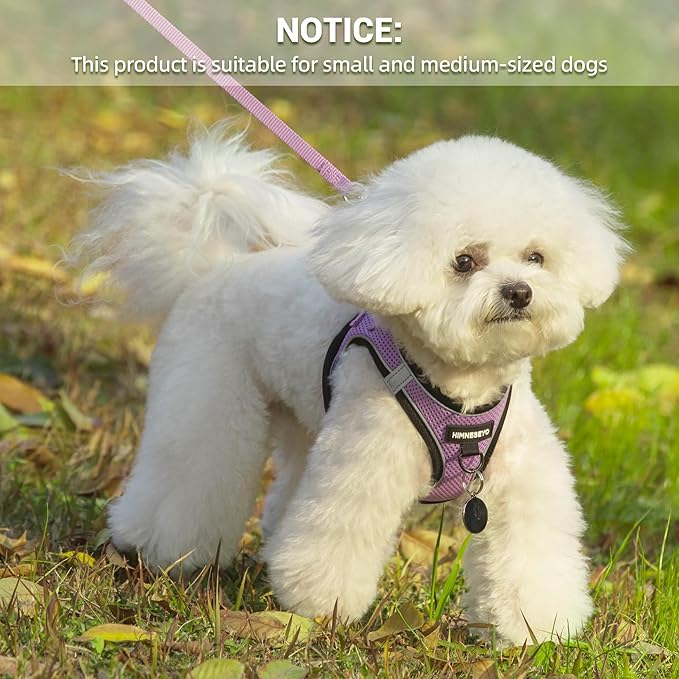 Dog Harness and Leash Set, Dog Harness for Dogs No Pull, No-Chock Step-in Reflective Breathable Lightweight Easy Walk Vest Harnesses with Safety Buckle for Small Medium Dogs, Cats (Light Purple, XL)
