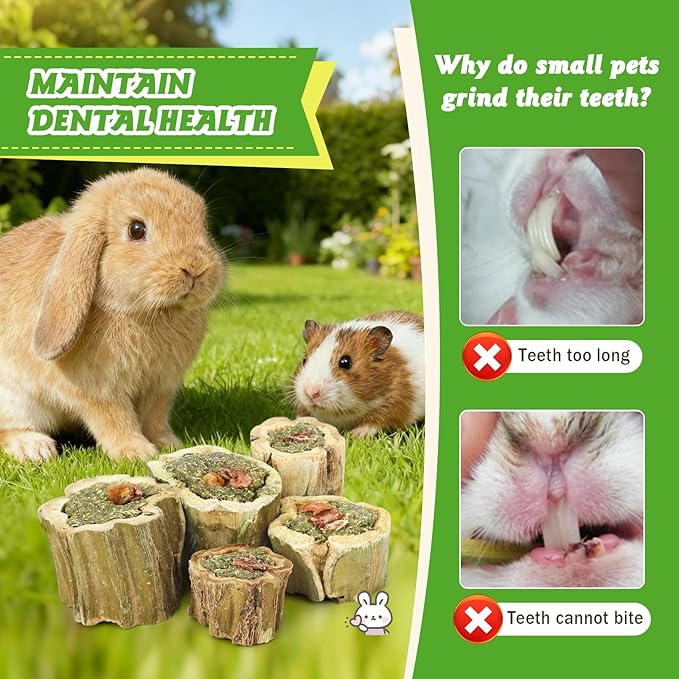 3.5oz Rabbit Chew Toys for Teeth，Bunny Papaya Wood Chew Toys Guinea Pig Treats with Apple Stick for Rabbits Guinea Pigs Hamsters Chinchillas Gerbils Prevent Teeth Overgrowth (3.5 oz, Fruit)