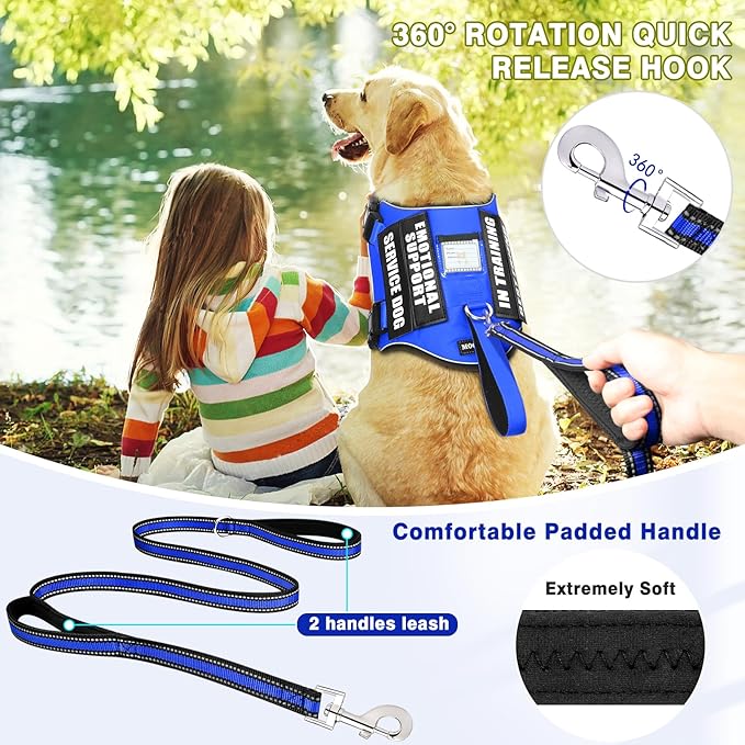 Service Dog Vest Harness and Leash Set+10 Patches,No Pull&Easy Walk Reflective Dog Harness with Soft Padded Handle for Training/Everyday,Fit Small/Medium/Large/Extra-Large Dogs (Blue L)