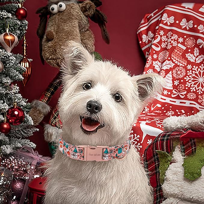 Unique style paws Dog Collar Metal Buckle Collar for Winter Christmas for Small Medium Large Boys Girls Dogs