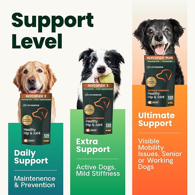 VetriScience Extra Strength Healthy Hip & Joint Chews, GlycoFlex Glucosamine and Green-Lipped Mussel Joint Support Supplement for Dogs, Promote Mobility & Soothe Joint Discomfort, Chicken, 60 Count