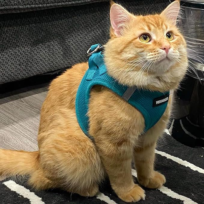 Best Pet Supplies Voyager Step-in Air Harness - All Weather Mesh, Reflective, No Pull Harness for Dogs, Cats - Secure with Hook & Loop Fastener, Buckle, Double D-Rings - Turquoise, M